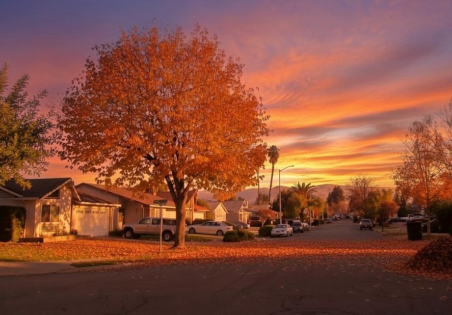 色んな季節が早く過ぎていく eveさんのフォト | 趣味人倶楽部（しゅみ